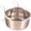 Trixie Ecuelle - TRIXIE - 300ml - Acier inoxydable - Support chromé - Ø9cm 1