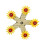 Organic Timber Bird Workout Twirling Plaything Suspended 1