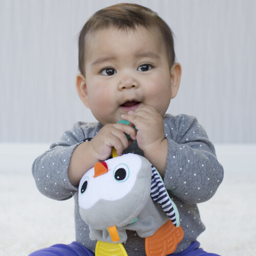 Infantino Cuddly Teether Penguin for Sensory Exploration - Silicone Teether, Teething Relief 1
