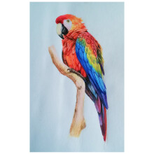 DIY Diamond Painting Diamond Embroidery Round Resin Diamond Stitch Home Wall Decor 30X40cm,Macaw