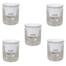 5X Pot de Fleurs Auto-Arrosant Absorption D'Eau Automatique Aquaculture Succulente Pot de Fleurs Hydroponique En Plastique Rond Transparent
