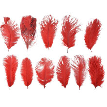 10 Stuks Natuurlijke Struisvogelveren Bruiloft Decoratie Rood 20-25Cm
