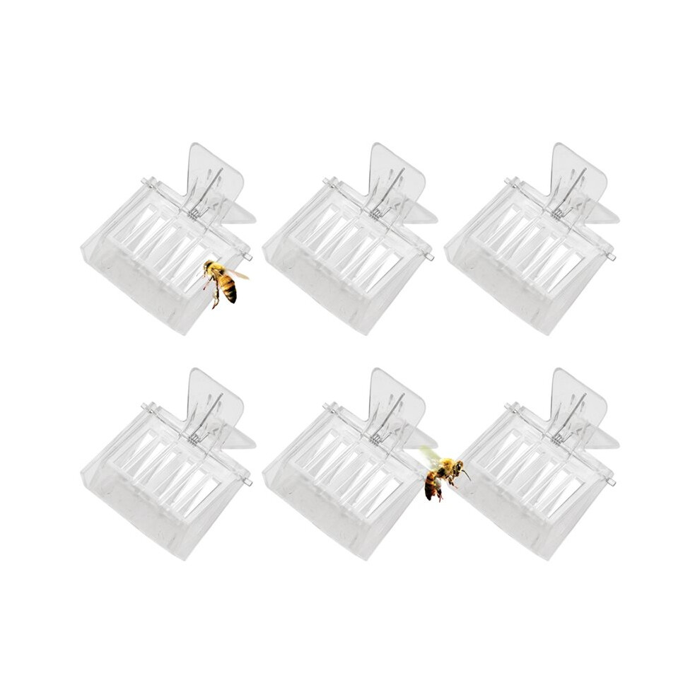 Plastic Cage Clips, Bee Catcher Clips, Beekeeping Tools 4713750171628
