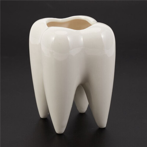 4X Tooth Shape White Ceramic Flower Pot Modern Design Planter Teeth Model  Desktop Pot  Gift(Without Plants)
