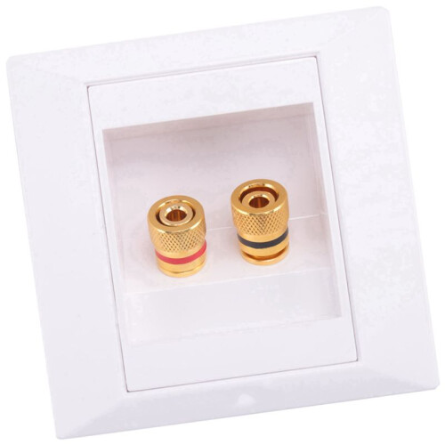 8X Wall Socket Connection Port with 2 Jack Speaker White