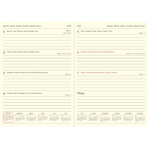 Letts Lecassa 2024 A4 week to view diary - brown 1