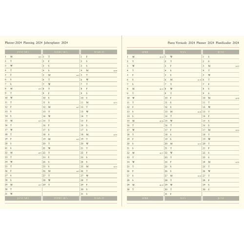 Letts Lecassa 2024 A4 week to view diary - brown 2