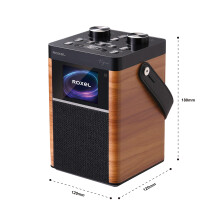 Roxel Vogue Portable DAB/DAB+ FM Radio & Wireless Speaker with Clear Sound, Alarm Snooze Function, Remote Control, USB, LCD Screen, Carrying Strap, 8