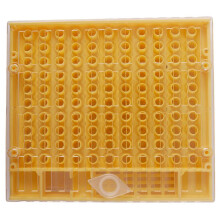 2X Bienenzucht Bau Satz 120 Zell Cup Bienen Werkzeug Set Königin Aufzucht System Biene Nicot Komplette Fänger Käfig Imkerei Helfer