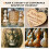 60W Pyrography Machine Kit with Wood Burning Pen and 30 Wire Tips for Crafting 7