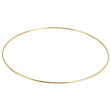 8 Pack 10 Inch Gouden Dromenvanger Metalen Ringen Bloemen Hoops Krans Macrame Creaties Ring voor DIY Ambachten
