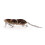 Fishing Lures Multiple Sections Baits Fishhooks Saltwater 3D-02 1
