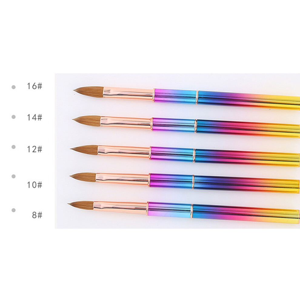 (12#) Kolinsky Hair Acrylic Nail Brush Kit UV Gel Gradient Metal Handle Nail Art Tool