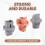 3pcs for  Land  Prado LC120 2003-2009 Bulb Base Tail Light Socket Brake Light Socket Reversing Light Socket 6