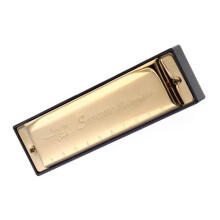 2X Swan Harmonica 10 Holes Key of C GOLDEN with Case Blues Harp Metal Steel New