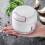 Mini Manual Garlic Masher Ginger Slicer Food Chopper Hand Pull Vegetable Grinder 2