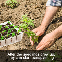(Small) 5PCS 24 Holes Plastic Seedling Cup Nursery Tray Garden Planting Sprouting Trays
