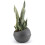 Maceta de plástico "Sfera" - Gris - 23 L 3