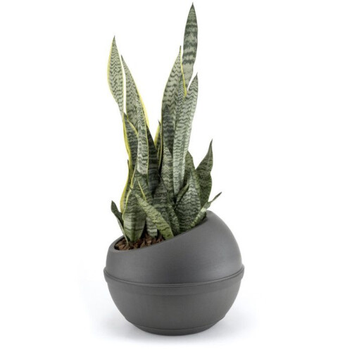 Maceta de plástico "Sfera" - Gris - 23 L 2