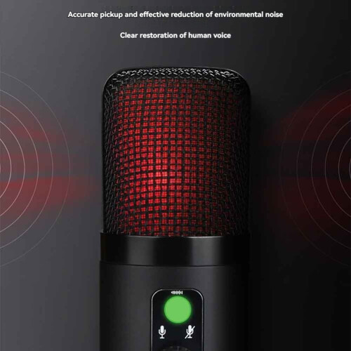 Microphone de Jeu à Condensateur USB pour PC avec Éclairage RVB Brillant Configuration Standard 1