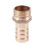 Golden Brass 1/2 inch Pipe Coupling 16mm Bolt Thread Water Pipe Hose End 6