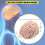 2X Human Brain,Life Size Human Brain Anatomy Model with Display Base, for Science Classroom Study & Teaching Display B 7