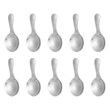 10 Pcs Rvs Korte Steel Lepels Zout Lepels Specerijen Dessertlepel Thee Koffie Lepels, Zilver