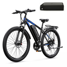 DUOTTS C29-L 29''Electric Bicycle, 750W, 15AH+15AH