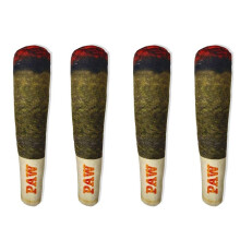 4X Jouets DrôLes pour Chiens - Jouets en Peluche GrinçAnts pour Moyens et Petits - Cadeaux Mignons en Peluche Cool pour L'Anniversaire de Chien