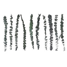 Paquete de 10 Eucaliptos Secos Naturales, Ramas de Eucalipto Frescas Conservadas para Arreglos Florales Bodas DecoracióN del Hogar