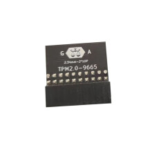 TPM 2.0 Encrypted Security Module 20 Pin Mainboard Card TPM2.0 Module for  Gigabyte Motherboard