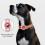 Protective Case Compatible for AirTag 2021, 4 Pack Silicone Dog Cat Collar Pet Loop Holder,  Anti-Scratch 6