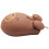 Mouse da Gioco Ottico Cablato da 1000 Dpi Simpatico Orso Animale Mouse USB per PC Portatile Console di Gioco in Plastica Marrone 9