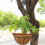 Adjustable Hanging Hook for Outdoor Home Garden Decoration 5
