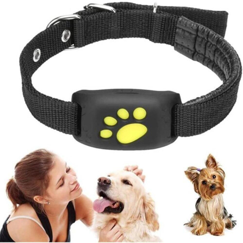 GPS tracker για σκύλους και γάτες, κολάρο παρακολούθησης σε πραγματικό χρόνο