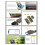 COREWING F405V2 WING-APP Fixed-Wing Flight Controller V2 with APP Tuning INAV/ArduPlane Support for RC FPV Planes 5