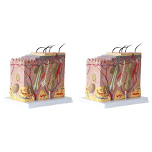 2X Modelo de Pele 50X Modelo Anatômico Ampliado de Pele Anatomia Tridimensional Modelo de Pele Tridimensional para Ensino de Exibição de Estudo em