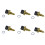 6X Engine Coolant Water Temperature Sensor 13621433076 for 06-13 - X5 335I E90 E92 E60 1