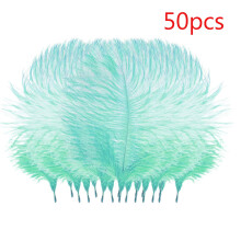 Penas de avestruz brancas e rosas, 50 peças, 15-20 cm