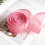 Osterbandrolle mit Drahtverschluss – Rosa Hasenmuster, 5 m 1