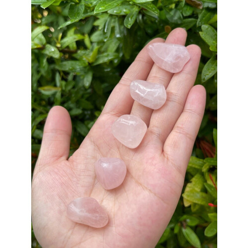 Getrommelte Rosenquarzsteine, Naturqualität A++