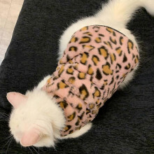 (3-4KGcat weight), pink) Soft cat sweater - Leopard print cat sweater, warm kitten clothing, autumn and winter pet coat pullover design, cat-specific.