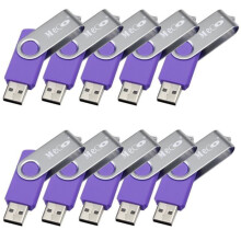 MECO Pack of 10 2GB USB 2.0 Flash Drives, Purple Silica Gel Memory Stick
