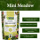 Mini Meadow Wildflower Seeds Mix with Rootgrow 3