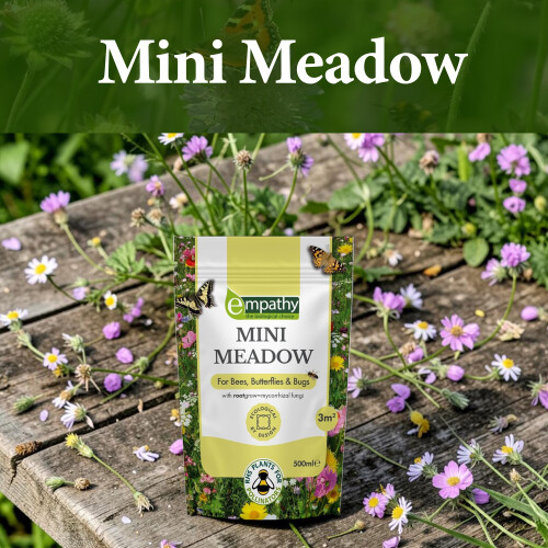 Mini Meadow Wildflower Seeds Mix with Rootgrow 1