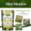 Mini Meadow Wildflower Seeds Mix with Rootgrow 6