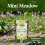 Mini Meadow Wildflower Seeds Mix with Rootgrow 11