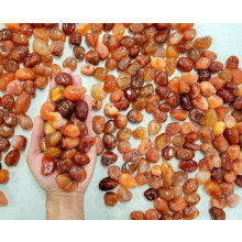 Tumbled Carnelian Crystal Stones Small 0.5-1 inch