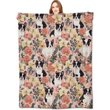 Blaincéad Caithimh Lomra Boston Terrier 50x60 orlach