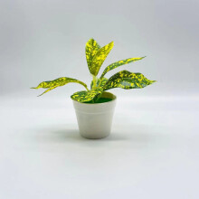 Mesterséges Mini Bonsai Fa – Valósághű PP Növény, 17cm